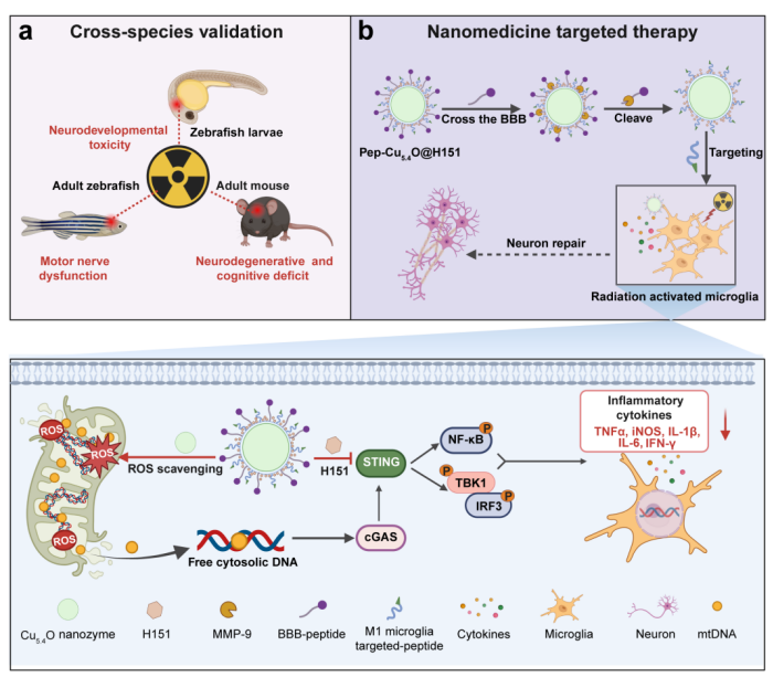 1760683954285062361.png 21.png