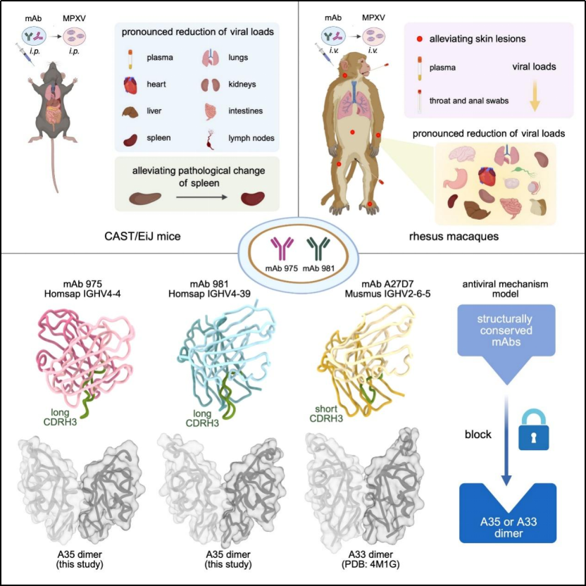 1760683974082072478.png 31.png