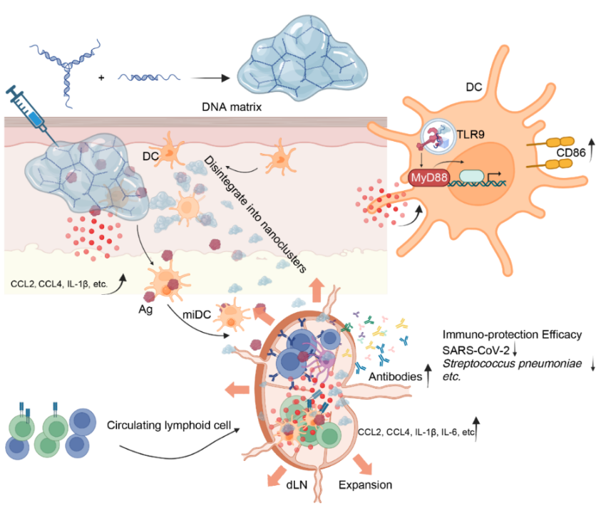 1760683993536021913.png 41.png