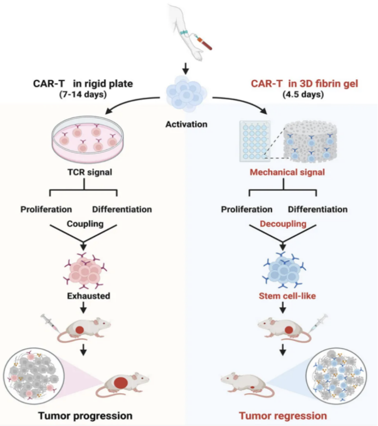 1760684030308038915.png 61.png