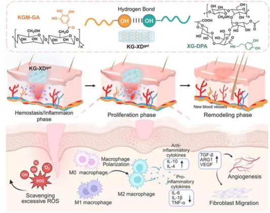 1760684051634039106.png 71.png