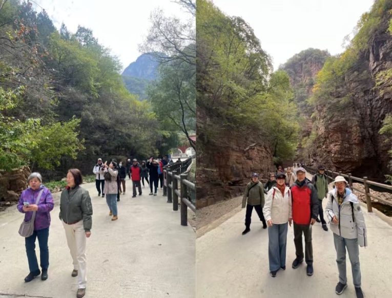 1761519013932099635.jpg image003.jpg