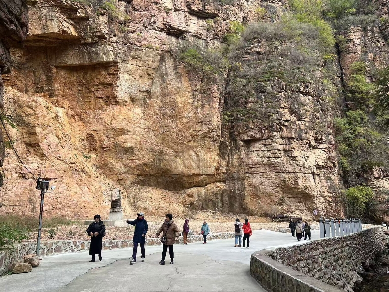 1761519022122066280.jpg image007.jpg